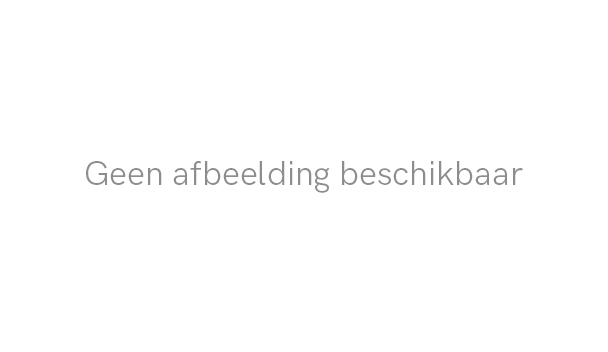 Vegan appelgebakje afbeelding